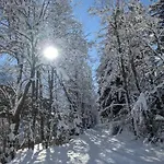 L'ilet Ensoleille /sunny Island Chalet